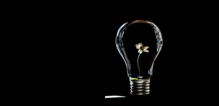 7 novembre et 5 décembre : ateliers astro et tarot coaching